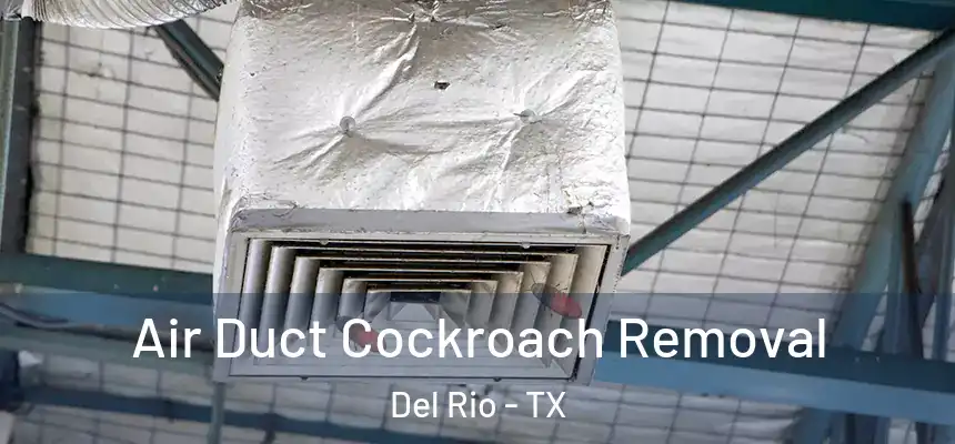  Air Duct Cockroach Removal Del Rio - TX