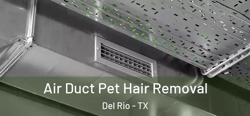 Air Duct Pet Hair Removal Del Rio - TX