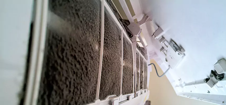 Preventive Air Duct Bacteria Removal in Del Rio