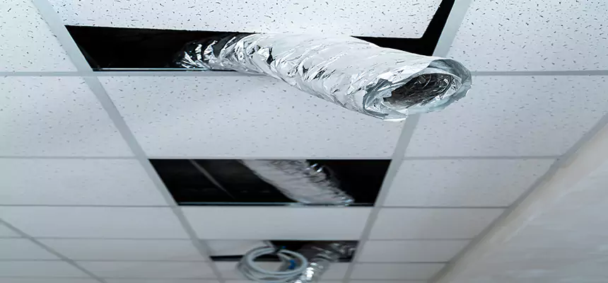 Our Air Duct Pet Hair Removal Services in Del Rio, TX