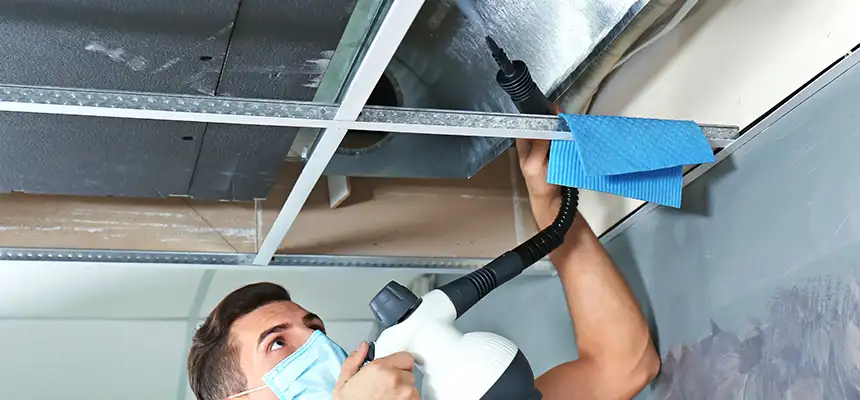 Our Air Duct Rodent Removal Services in Del Rio, TX