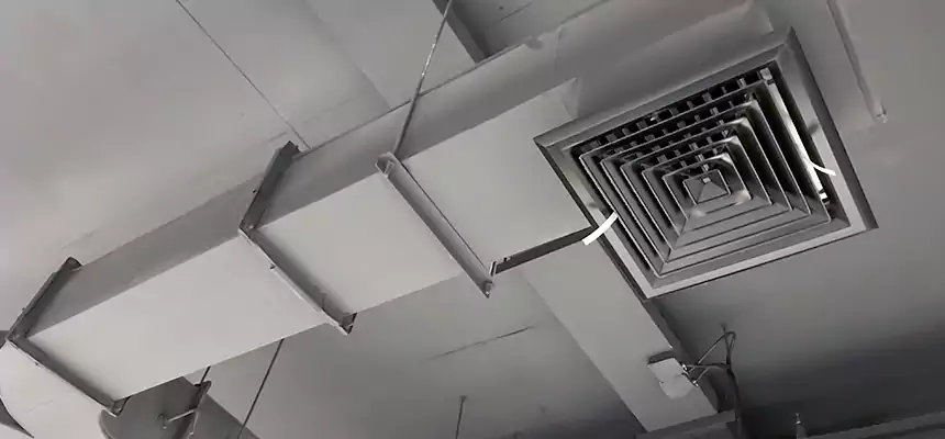 Restorative Allergy Relief Vent Cleaning – Coil, Blower & Housing Detail in Del Rio