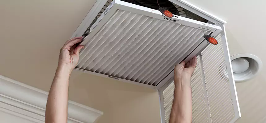 Our Insect Removal from Air Ducts Services in Del Rio, TX