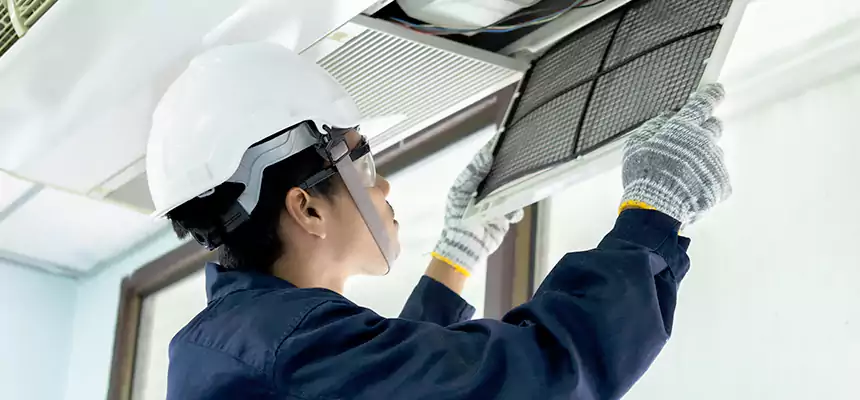 Our Mold & Mildew Removal from Air Ducts Services in Del Rio, TX