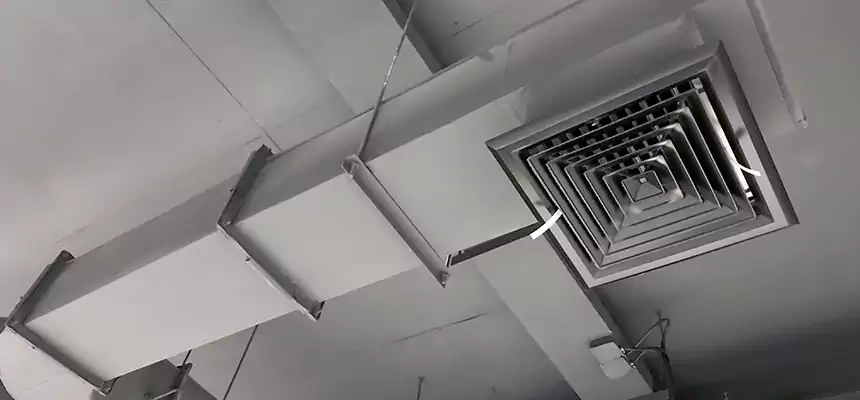 Our Pest Removal From Ducts Services in Del Rio, TX