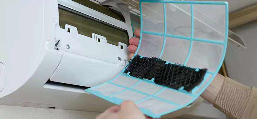 Gentle Ductwork Odor-Control Pet Dander Duct Cleaning in Del Rio, TX