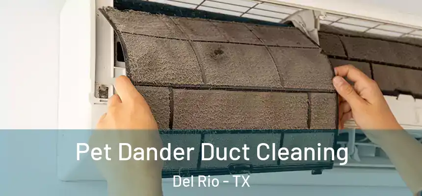 Pet Dander Duct Cleaning Del Rio - TX