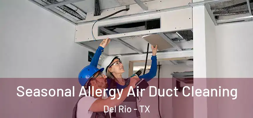  Seasonal Allergy Air Duct Cleaning Del Rio - TX