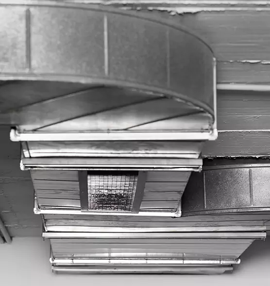 Professional Air Duct Pest Removal in Del Rio, TX