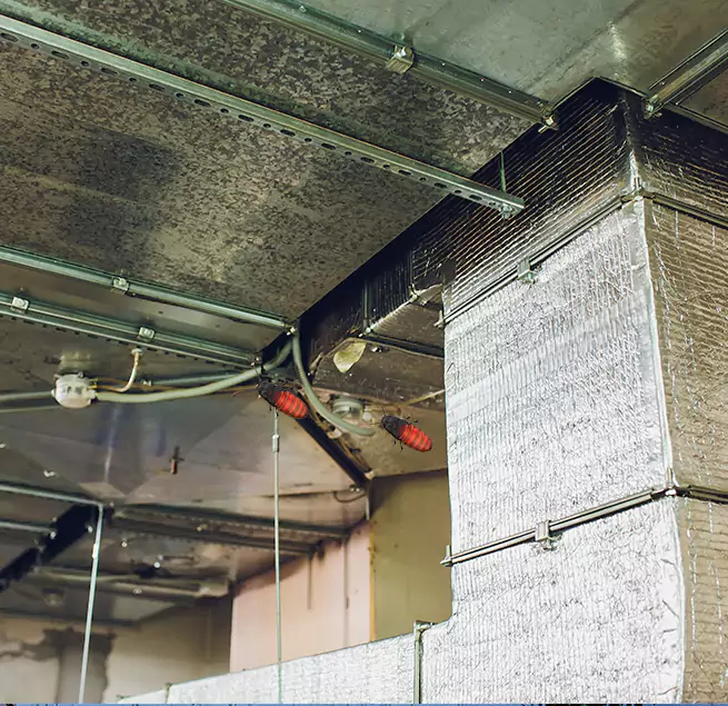 Why Homeowners & Businesses Trust Us in Del Rio, TX?