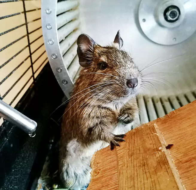 Why Homeowners & Businesses Trust Us Del Rio, TX?