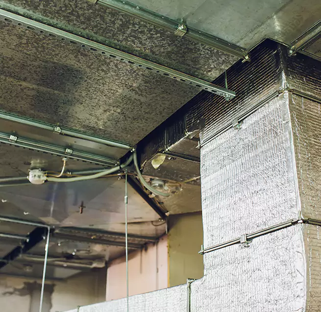 Why Homeowners & Businesses Trust Us in Del Rio, TX?